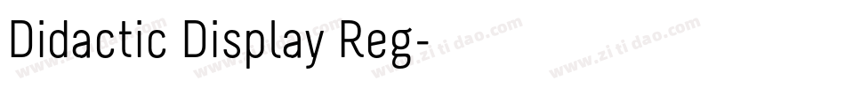 Didactic Display Reg字体转换
